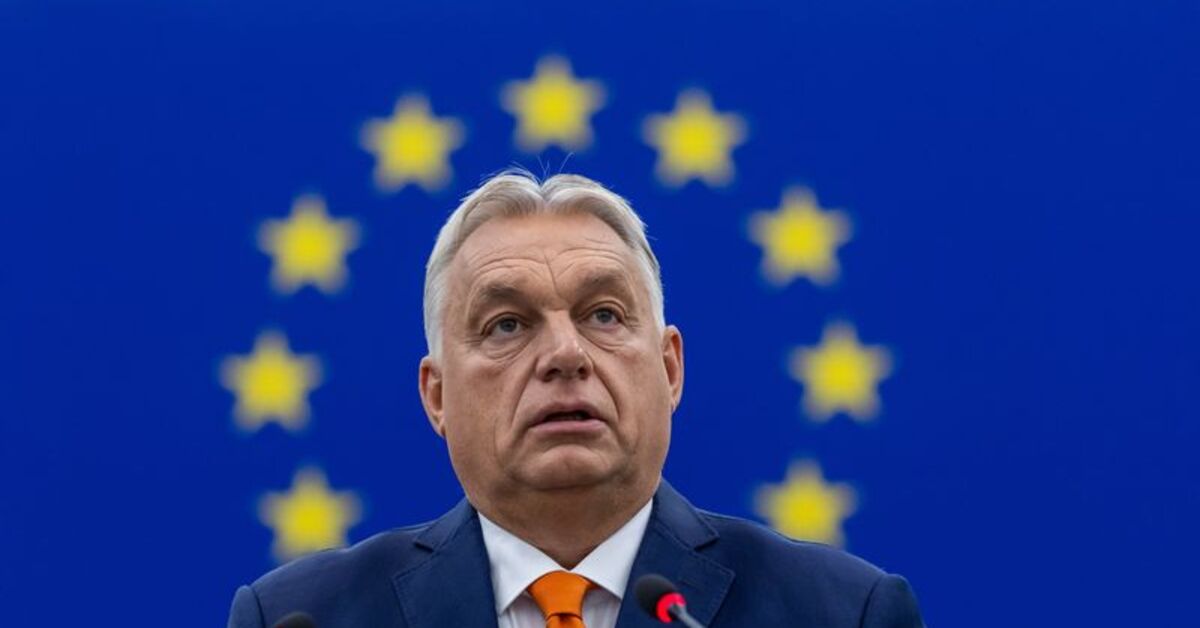 Aşırı sağcı Alman AfD partisinin başbakan adayı, Macar lider Orban’ın konuğu olarak Budapeşte’ye geliyor