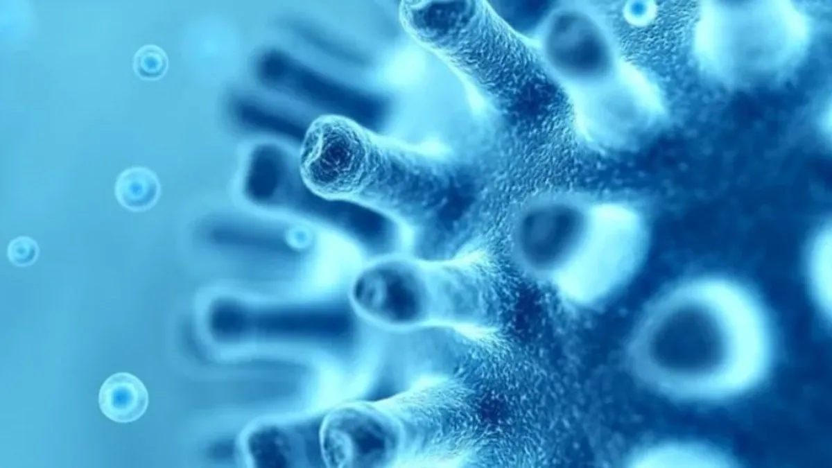 Mayozun Canlılar İçin Önemi – Mayoz Bölünmenin Canlılar İçin Faydaları Nelerdir?